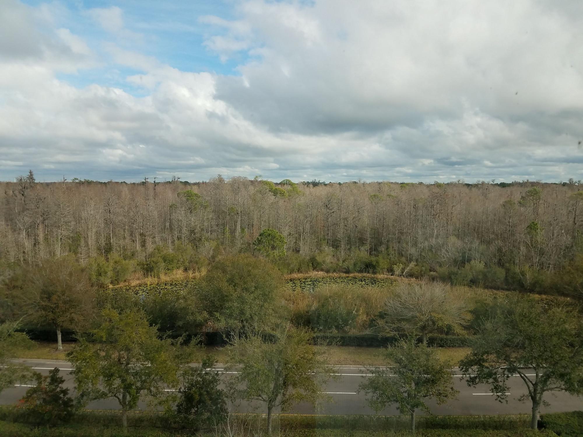 Hilton Garden Inn Tampa Suncoast Parkway Lutz Exterior photo
