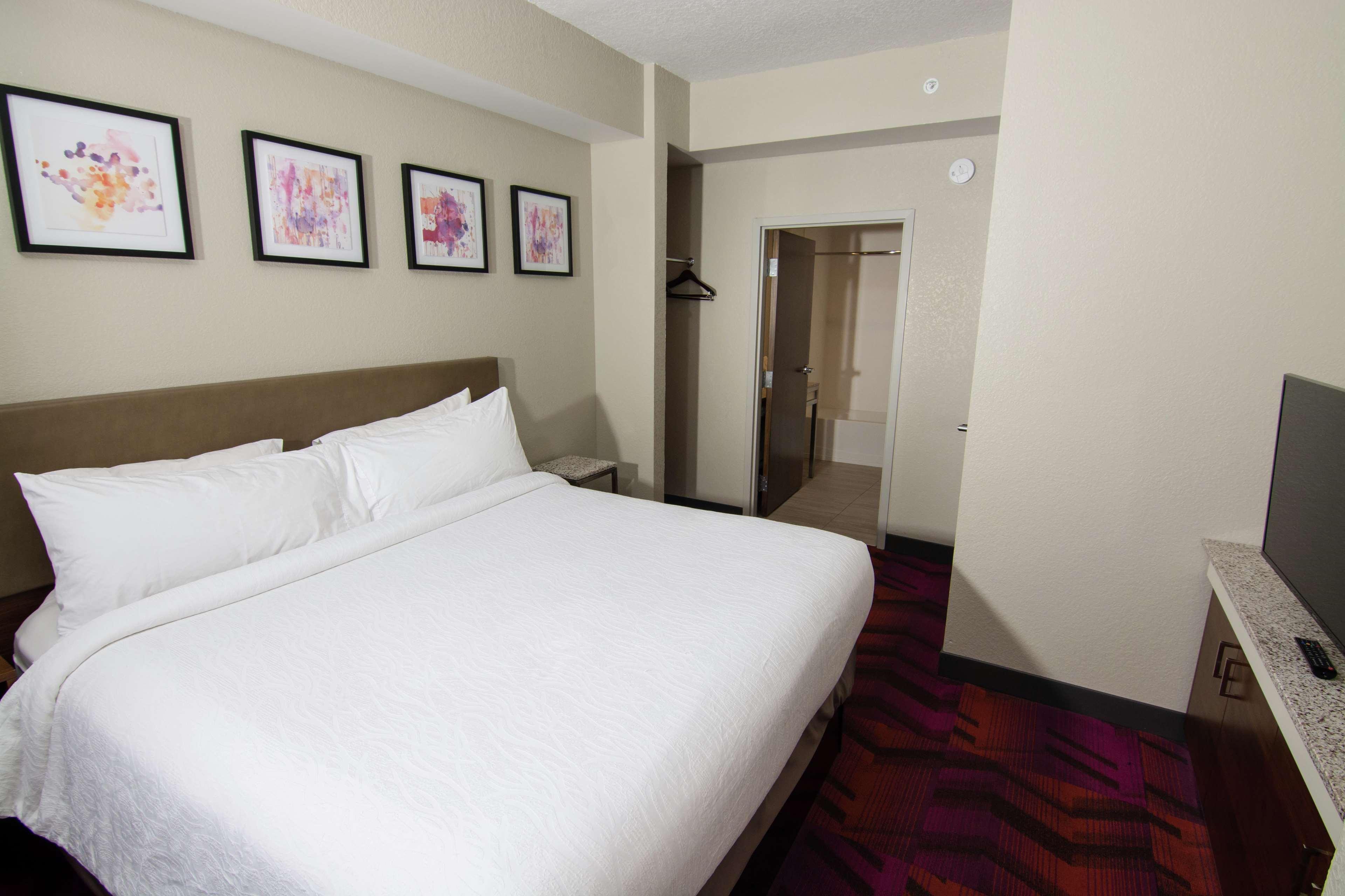Hilton Garden Inn Tampa Suncoast Parkway Lutz Exterior photo